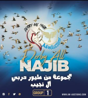 Derby AL Najib Pigeons