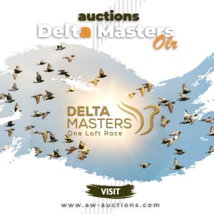 Delta OLR Pigeons
