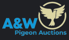 A&W Auctions