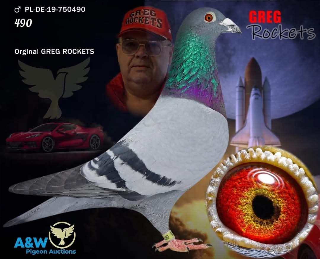 هنا دلتا ماسترز مع ثاني اس هذا العام للجنرال محمد العباسي 100٪ جريج روكيتس - الصورة 16