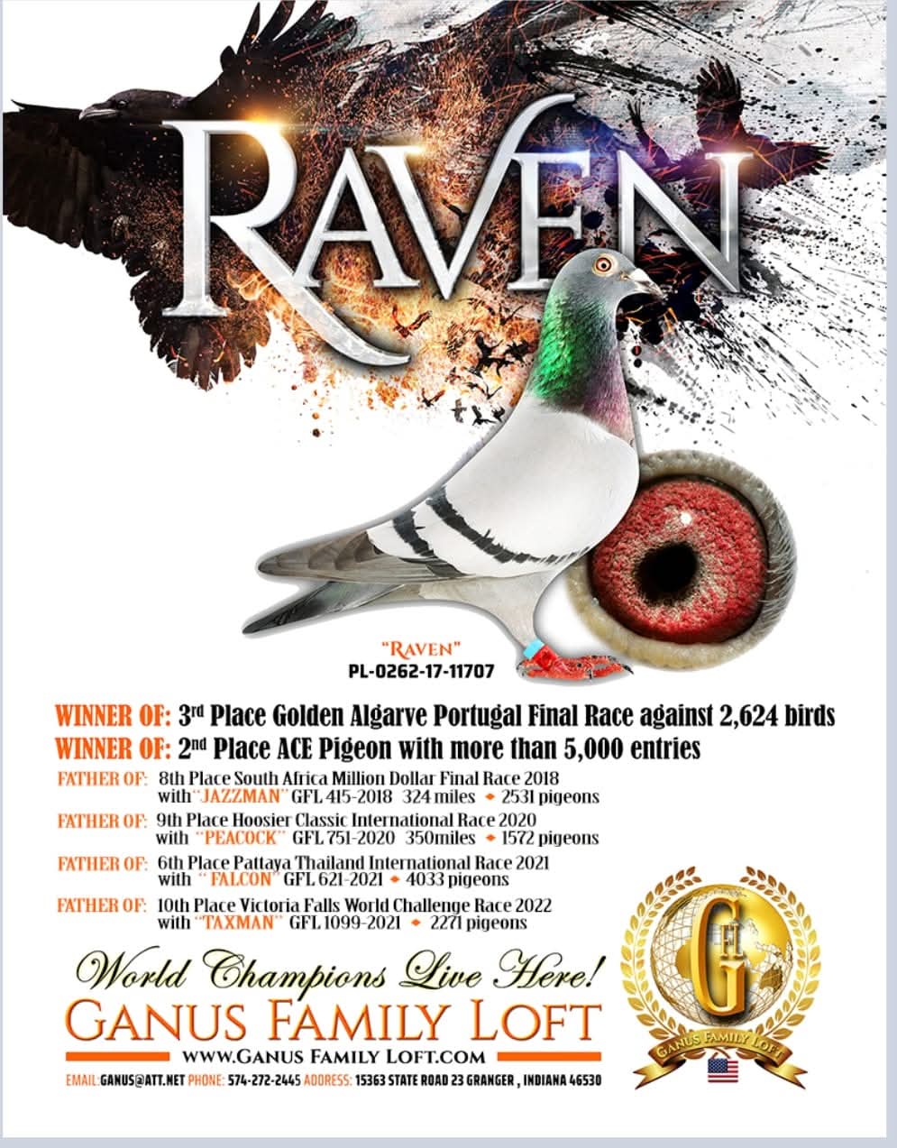 هنا دلتا ماسترز مع ثاني اس هذا العام للجنرال محمد العباسي 100٪ جريج روكيتس - الصورة 14