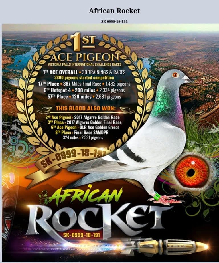 هنا دلتا ماسترز مع ثاني اس هذا العام للجنرال محمد العباسي 100٪ جريج روكيتس - الصورة 13