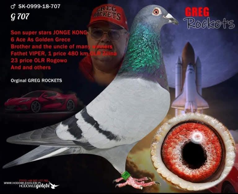 هنا دلتا ماسترز مع ثاني اس هذا العام للجنرال محمد العباسي 100٪ جريج روكيتس - الصورة 9