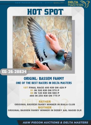 Hot spot اولة نهائي نقطه دلتا ماسترز للبطل باسم فهمي