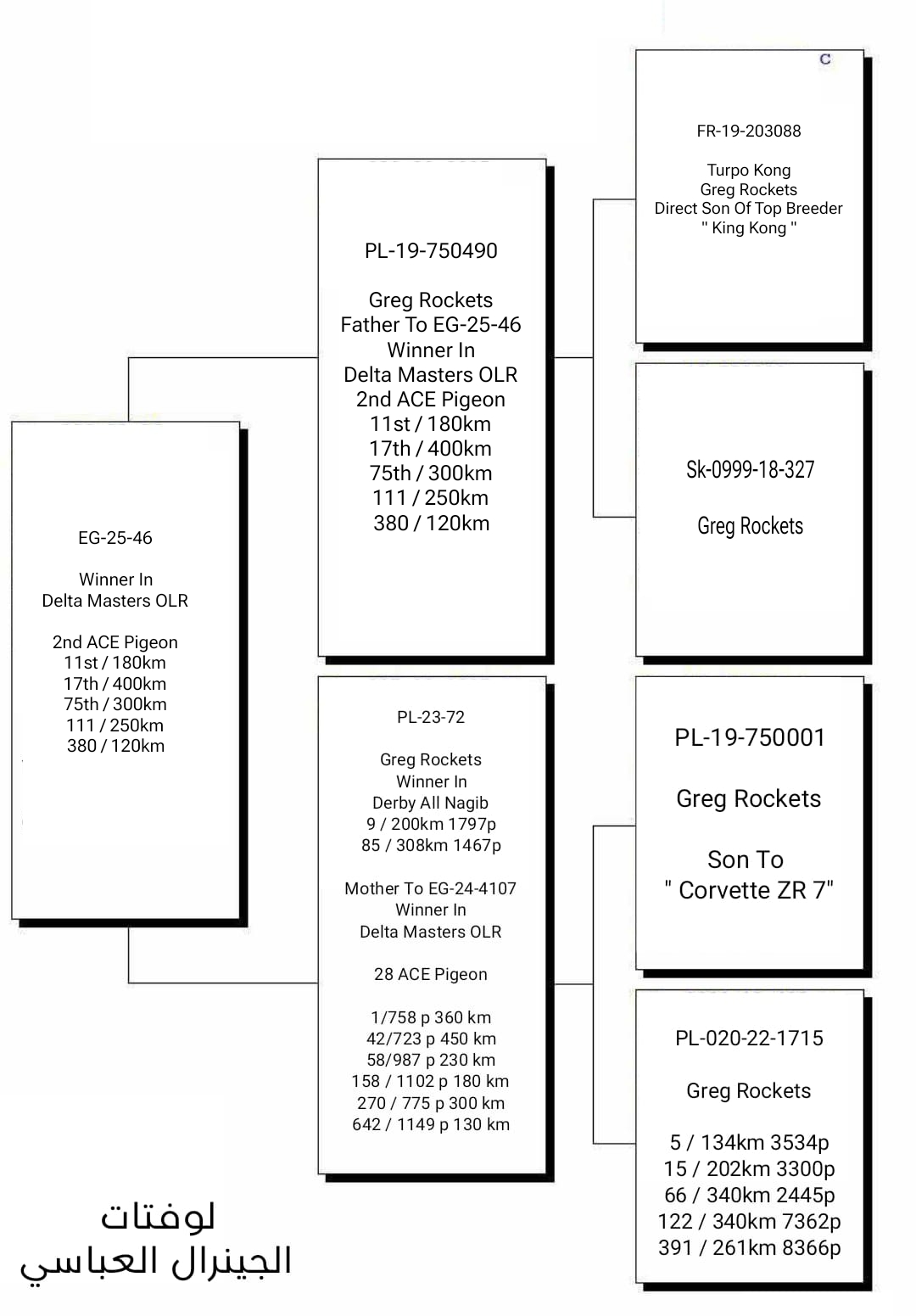 هنا دلتا ماسترز مع ثاني اس هذا العام للجنرال محمد العباسي 100٪ جريج روكيتس - الصورة 2