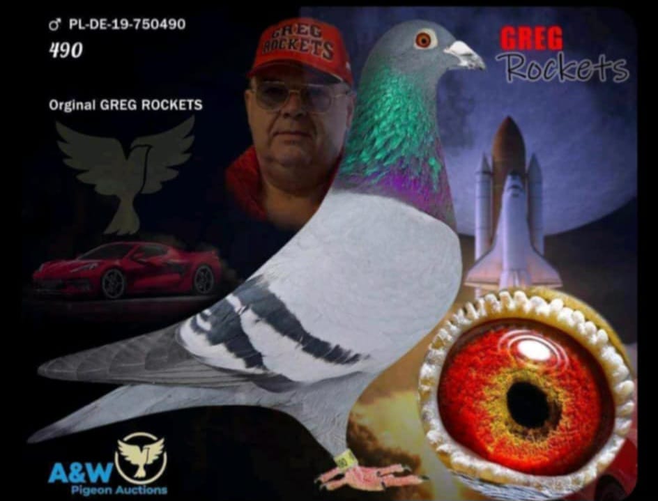 هنا دلتا ماسترز مع ثاني اس هذا العام للجنرال محمد العباسي 100٪ جريج روكيتس - الصورة 3