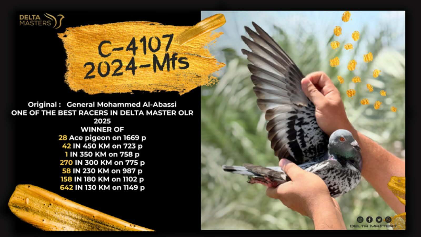 هنا دلتا ماسترز مع ثاني اس هذا العام للجنرال محمد العباسي 100٪ جريج روكيتس - الصورة 7