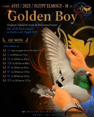 ((Golden Boy ))اول سوبر اس و ثاني نهائي دربي آل نجيب لموسم ٢٠٢٥/٢٠٢٦ للأبطال محمد سمير و فهد العازمي