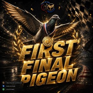 🔥🔥💪 أول النهائي دربي آل نجيب للاستاذ مصطفي السمري موسم ٢٠٢٥-٢٠٢٦
