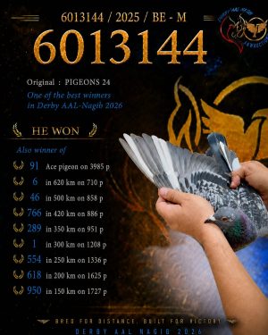 طير رقم 6013144 للبطل بارت جرينيكس سادس النهائي واول ال300 كم