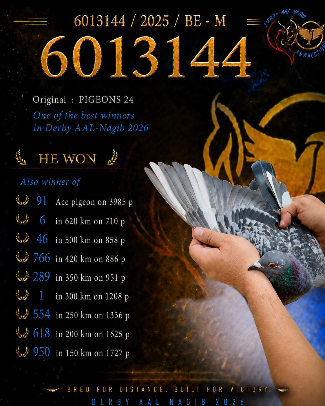 طير رقم 6013144 للبطل بارت جرينيكس سادس النهائي واول ال300 كم