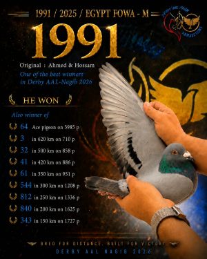 طير رقم 1991 للبطل أحمد و حسام ثالث النهائي