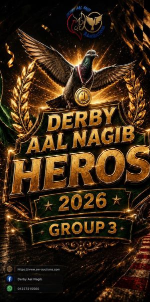 🔥👌 (3) Derby AL Nagib bullets 👌🔥