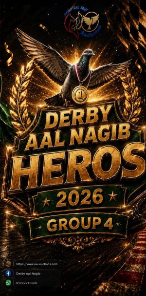 🔥👌 (4) Derby AL Nagib bullets 👌🔥