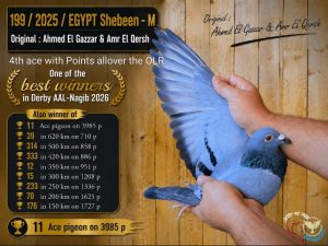 طير رقم 199 للبطل الحريف احمد الجزار و عمر القرش رابع اس اوفر اول نقاط