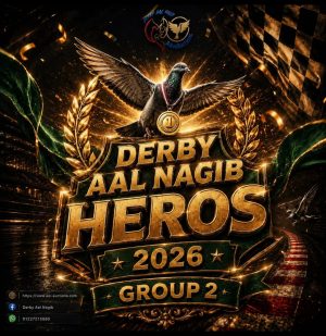 🔥👌 (2) Derby AL Nagib bullets 👌🔥