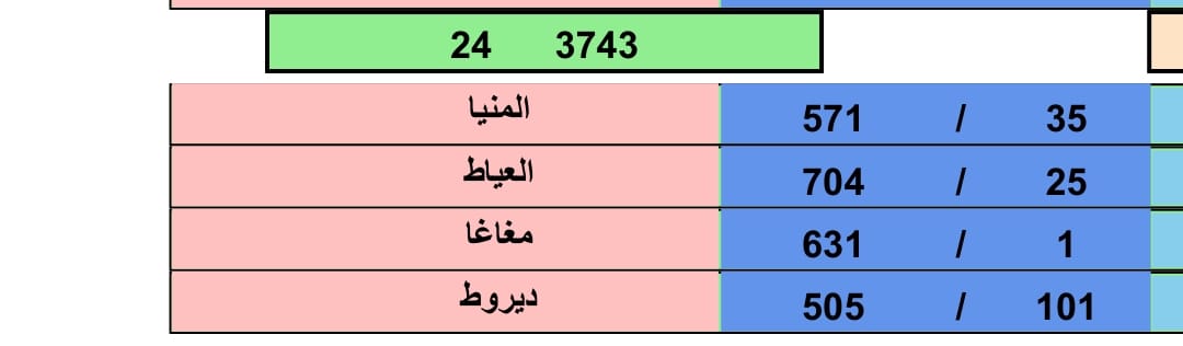 طير رقم 707 للبطل السعيد السنباطي - الصورة 5