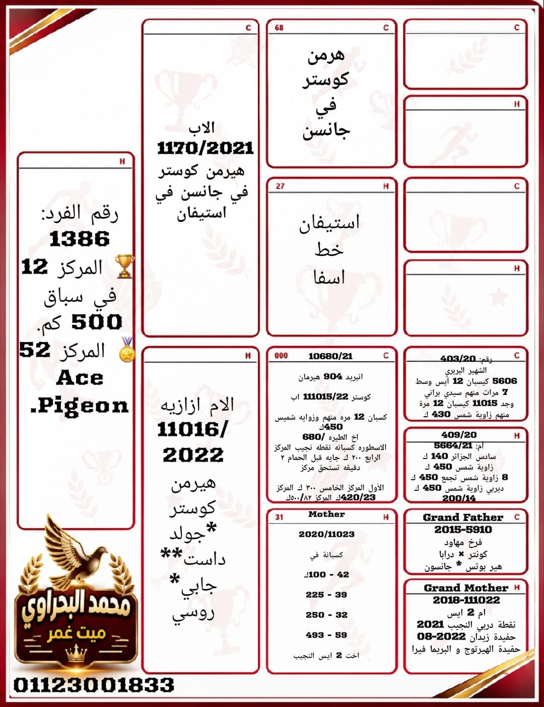 طير رقم 1386 للبطل team m a - الصورة 2
