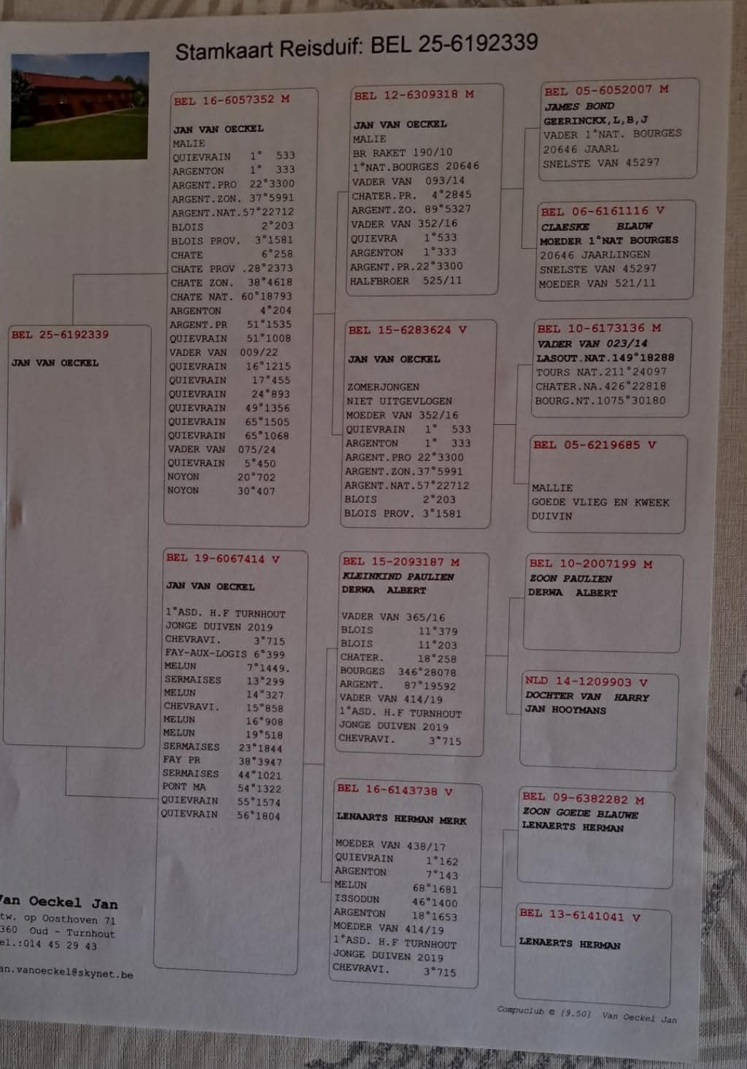 طير رقم 6192339-25 للبطل (van ockel) - الصورة 2